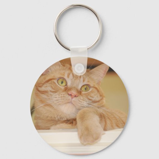 オレンジタビー猫 キーホルダー (正面)