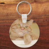 オレンジタビー猫 キーホルダー (正面)
