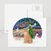 オレンジタビー猫 - クリスマスの魔法 シーズンポストカード (正面/裏面)