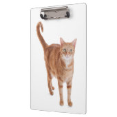 オレンジタビー猫 クリップボード (左)