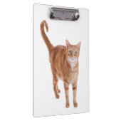 オレンジタビー猫 クリップボード (右)