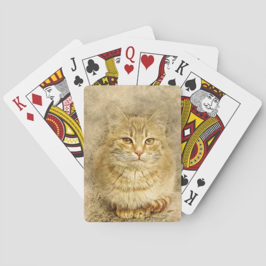 オレンジタビー猫 トランプ (裏面)