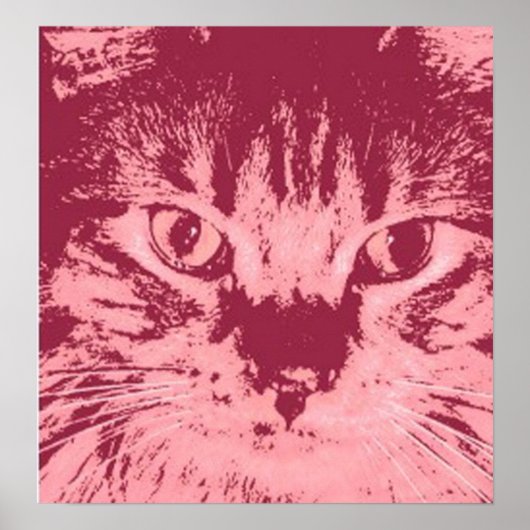 オレンジタビー猫 ポスター (正面)