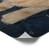 オレンジタビー猫 ポスター (角)