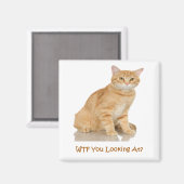 オレンジタビー猫 マグネット (正面/裏面)