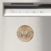 オレンジタビー猫 マグネット (インサイチュ (食洗機))