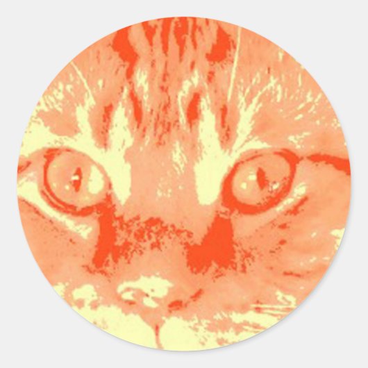 オレンジタビー猫 ラウンドシール (正面)