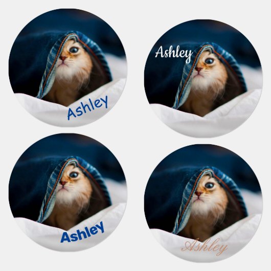 オレンジタビー猫 ラベル (グループ)