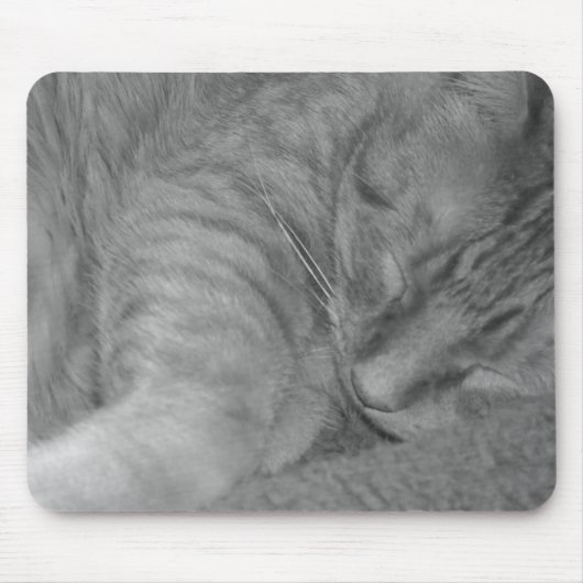 オレンジタビー猫/白黒の写真 マウスパッド (正面)