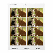 オレンジタビー猫/白黒ネコ ラベル (フルシート)