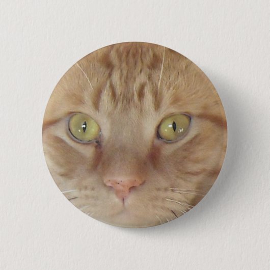 オレンジタビー猫 缶バッジ (正面)