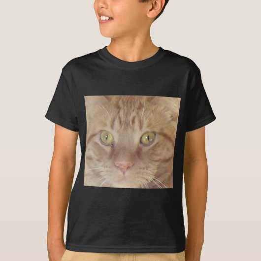 オレンジタビー猫 Tシャツ (正面)