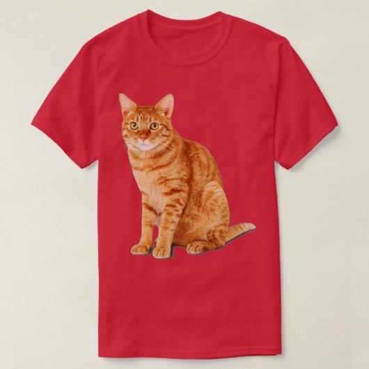 オレンジタビー猫 Tシャツ (デザイン正面)