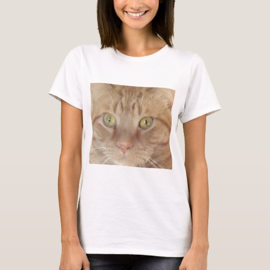 オレンジタビー猫 Tシャツ (正面)