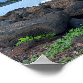 オレンジタブビーキャット、カウアイ、ハワイ ポスター (角)