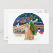 オレンジタブビーキャット – クリスマス魔法 シーズンポストカード (正面/裏面)