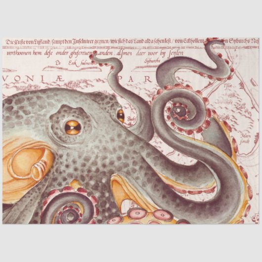 オレンジタンジェリンタコクラーケンのヴィンテージマップ 薄葉紙 (正面)