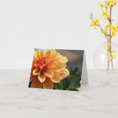 オレンジダリア カード (黄色い花)