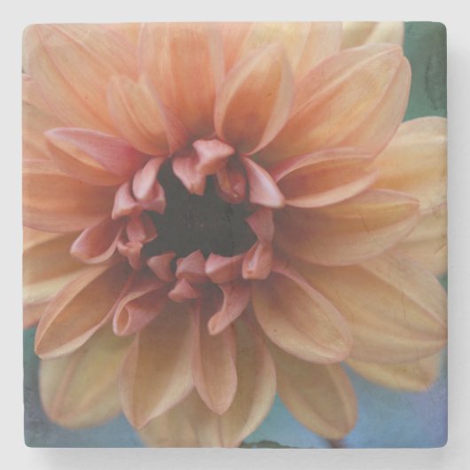 オレンジダリアI ストーンコースター (正面)