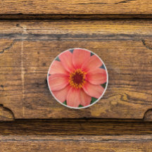 オレンジダ独身のリアフローラ