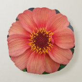 オレンジダ独身のリア開花フローラ ラウンドクッション (正面)