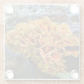 オレンジチキン・オブ・ザ・ウッズ ガラスコースター (裏面)