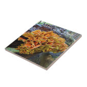 オレンジチキン・オブ・ザ・ウッズ タイル (側面)