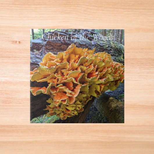 オレンジチキン・オブ・ザ・ウッズ タイル