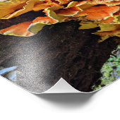 オレンジチキン・オブ・ザ・ウッズ フォトプリント (角)