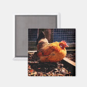 オレンジチキン マグネット (正面/裏面)