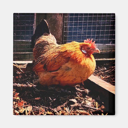 オレンジチキン マグネット (正面)