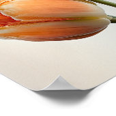 オレンジチューリップフラワーアートプリントポスター ポスター (角)