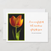 オレンジチューリップフレーム結婚式招待状 招待状 (裏面)