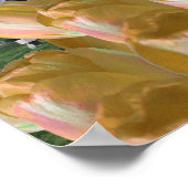 オレンジチューリップミルホランドポスターアート ポスター (角)