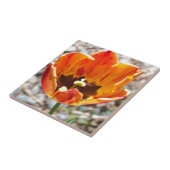 オレンジチューリップ タイル (側面)