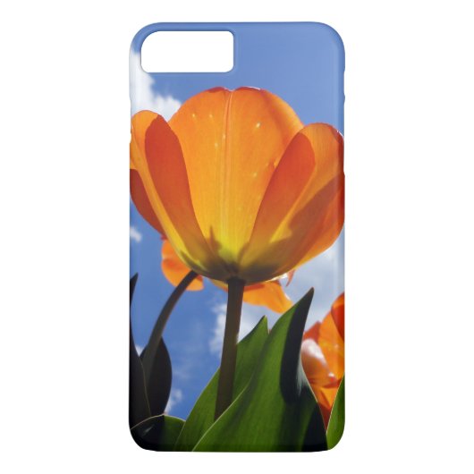 オレンジチューリップ、ブルースカイ Case-Mate iPhoneケース (裏面)