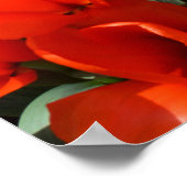 オレンジチューリップ ポスター (角)