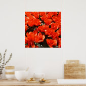 オレンジチューリップ ポスター (キッチン)