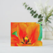 オレンジチューリップ ポストカード (スタンド正面)