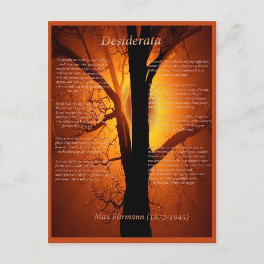 オレンジツリー ポストカード (正面)