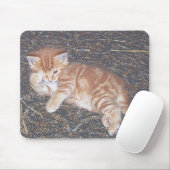 オレンジテビー子猫 マウスパッド (マウス)