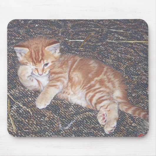 オレンジテビー子猫 マウスパッド (正面)
