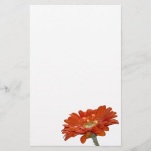 オレンジデイジーのガーベラの花 便箋