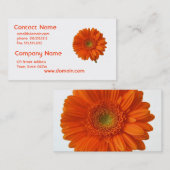 オレンジデイジーの名刺 名刺 (正面/裏面)