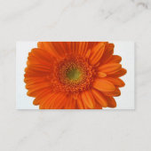 オレンジデイジーの名刺 名刺 (裏面)