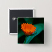 オレンジデイジー花 缶バッジ (正面&裏面)