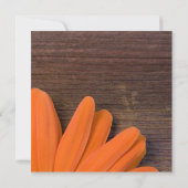 オレンジデイジー&バーンウッドカップルズウェディングシャワー 招待状 (裏面)