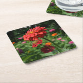 オレンジデイジー、《植物》百日草、コスモ、ひまわりの園 スクエアペーパーコースター (アングル)