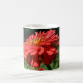 オレンジデイジー,《植物》百日草，コスモ，ヒマワリ園 コーヒーマグカップ (中央)