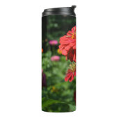 オレンジデイジー,《植物》百日草，コスモ，ヒマワリ園 タンブラー (回転左)